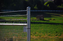 6’ High and 3 Strands Barbed Wire