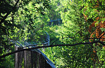 Park City - Water Tank Perimeter Fence - 6’ High and 3 Strands Barbed Wire & Black Wire