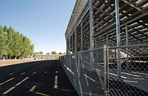 Nephi - Juab County Fairgrounds - 6’ High Barbs Up