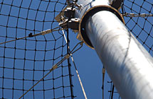 Alpine - Burgess Park - Netting Elevator