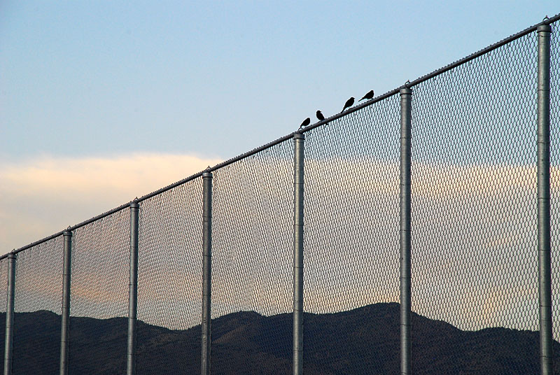 Saratoga Springs High School - 20’ High Outfield Fence Supported by 4" Schedule 40 Posts