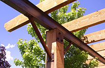 Pergola