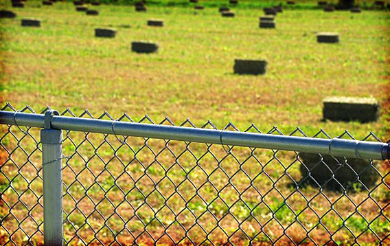 Farm: Chainlink Fence